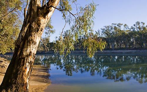 A view of the Yea River